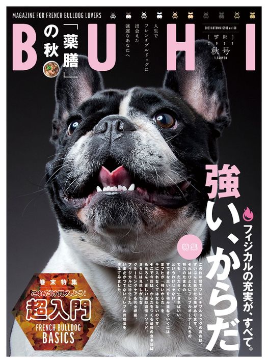 メディア | ZAIHOO｜フレンチブルドッグ子犬販売・ウェア販売