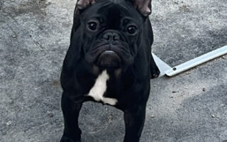 Image is not available