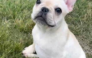 Image is not available