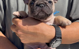 Image is not available