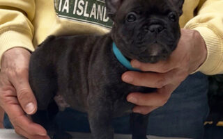 Image is not available