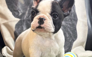 Image is not available