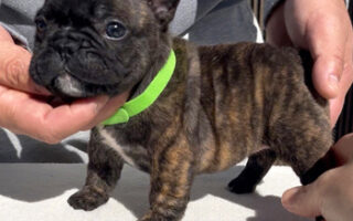 Image is not available