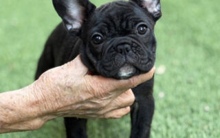 Image is not available