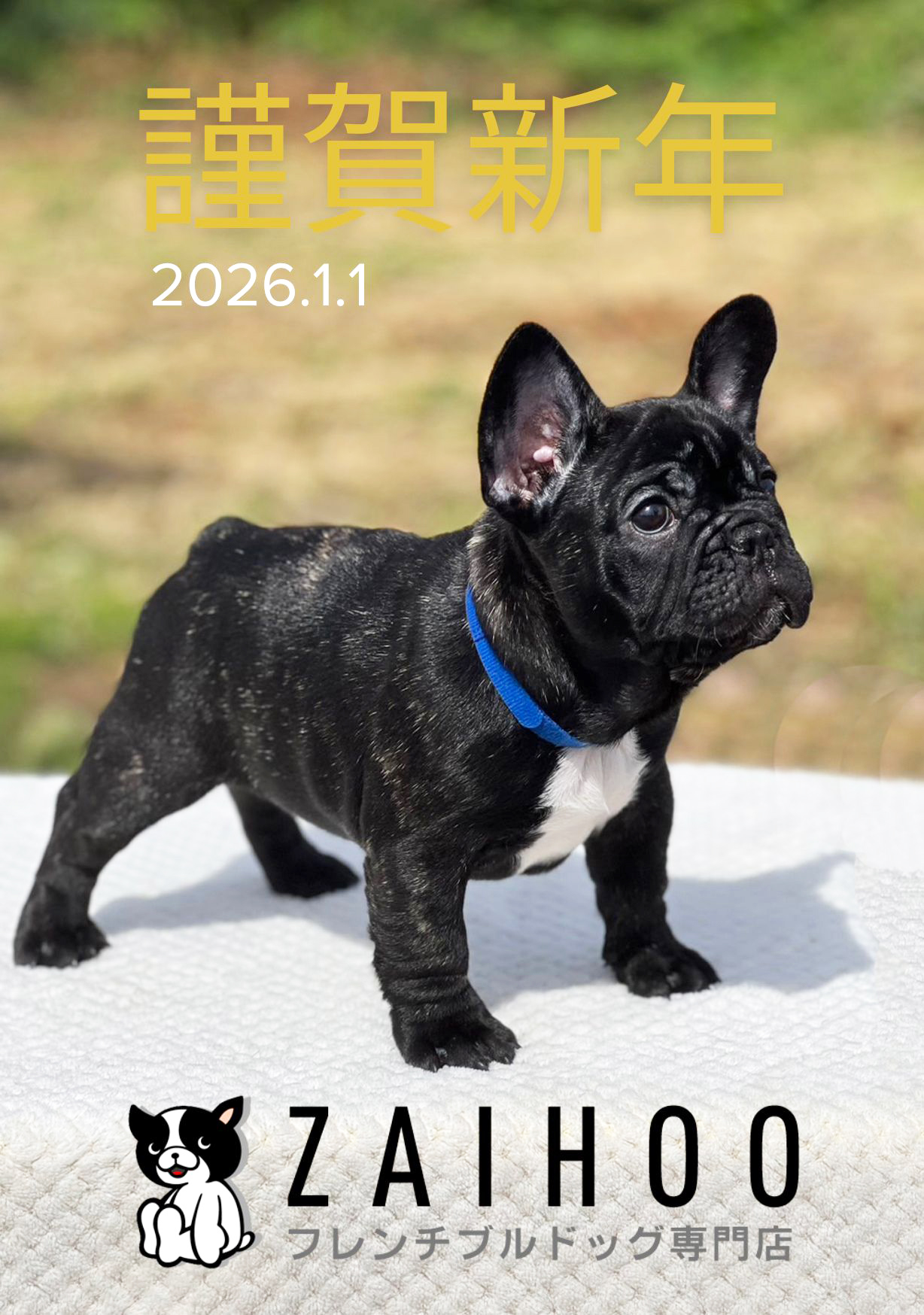 新年あけましておめでとうございます！