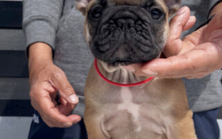 Image is not available