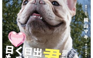 Image is not available