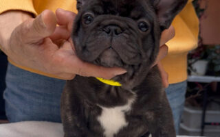 Image is not available