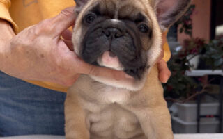 Image is not available