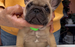 Image is not available