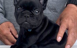 Image is not available