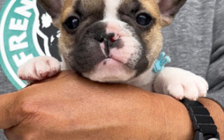 Image is not available